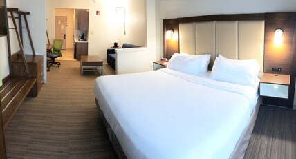 Holiday Inn Express Hotel & Suites Greenville Room Type - 1 Kng Ste Comm Access Low Floor Sofa Bed