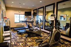 Holiday Inn Express Hotel & Suites Houston NW Beltway 8-West Road