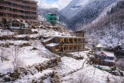 Yellowjackets Hostel Tosh