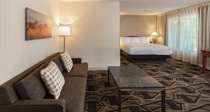 DoubleTree by Hilton Durango Room Type - CITY VW 1 KING W  SOFABED