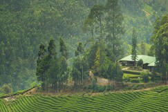 Talayar Bungalow | Restaurant & Lawn