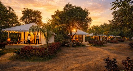 Amber Resort Room Type - Superior Ac Swiss Tent
