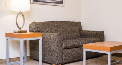 Holiday Inn Hotel & Suites BOLINGBROOK Room Type - 1 King Suite