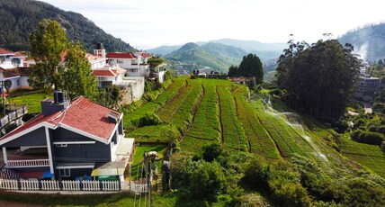 TIGER HILL HOMESTAY 3 BHK VILLAS Room Type - 3 Bedroom Hill Top Mountain Villa,3 km from city TIGER HILL HOMESTAY 3 BHK VILLAS Room Type - 3 Bedroom Hill Top Mountain Villa,3 km from city