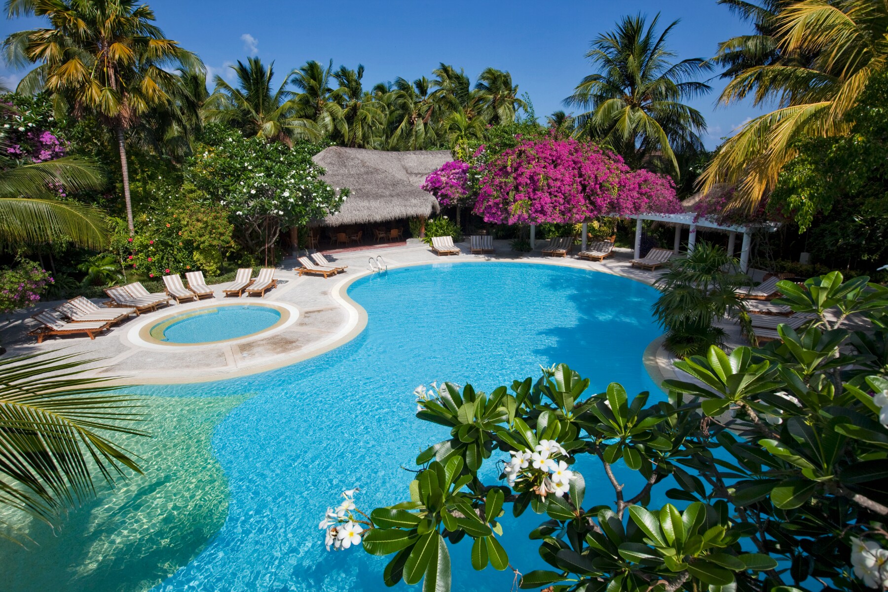 Niva Kuramathi Maldives - Tap to explore photos