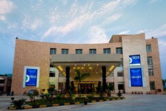 Velvet Clarks Exotica