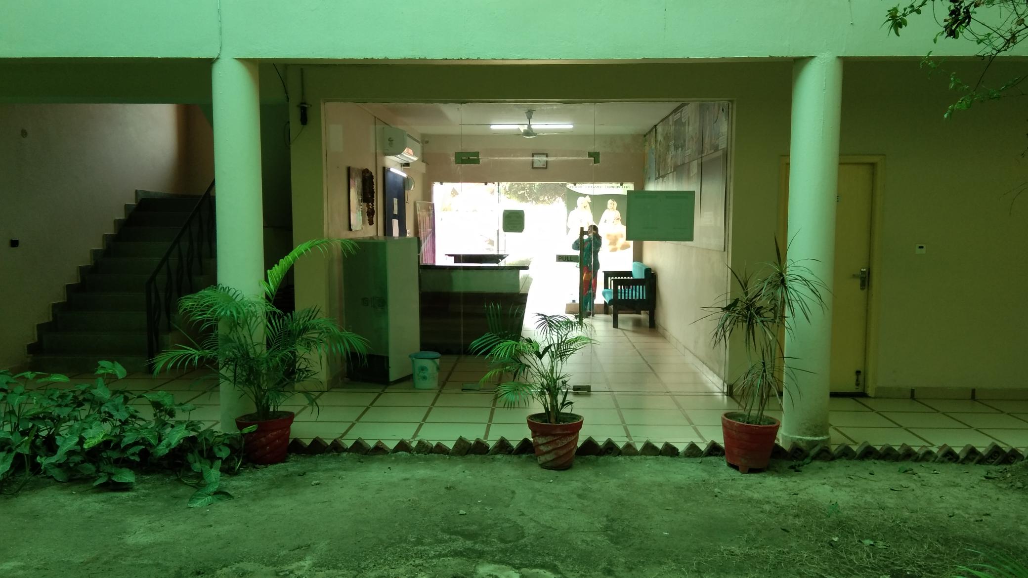 Main gallery