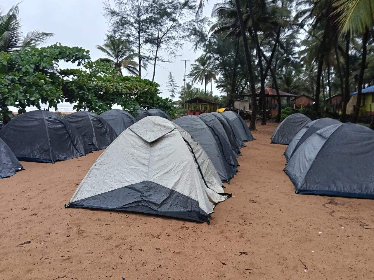 COCO BEACH FRONT STAY - Tap to explore photos