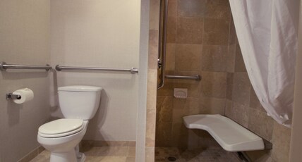 Hampton Inn Norfolk/Chesapeake (Greenbrier Area) Room Type - 1 QN ACC ROLLIN SHWR NS