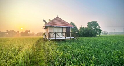 MARUTHAM VILLAGE RESORT Room Type - Farm Hut - Middle of the Paddy Field