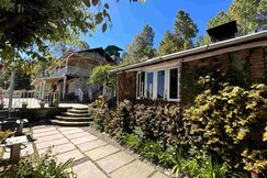 Frozen Woods Resorts