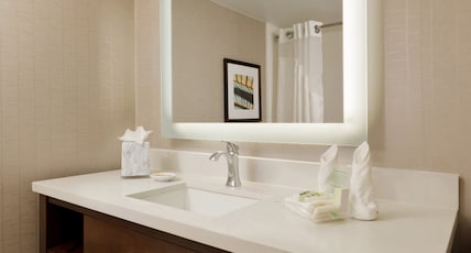 Holiday Inn SAN ANTONIO-RIVERWALK Room Type - 2 Double Standard