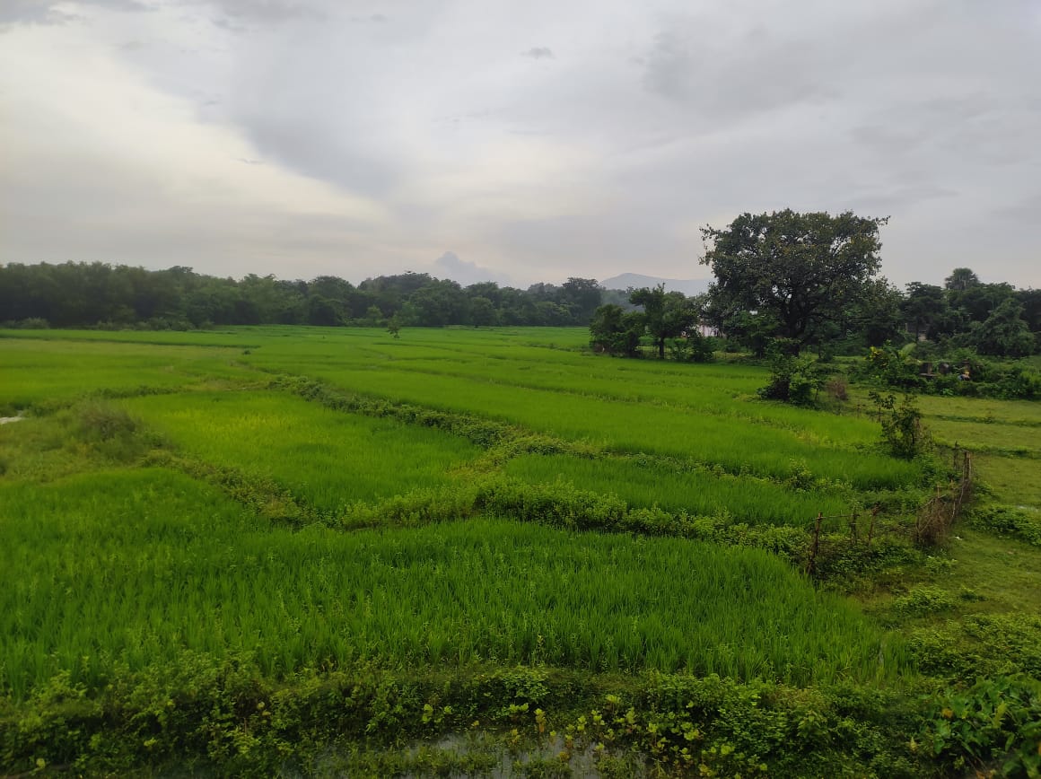 VRINDAVAN NIWAS - Tap to explore photos