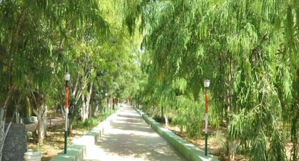 Matoshree Green Stay Sariska Room Type - Row House Matoshree Green Stay Sariska Room Type - Row House