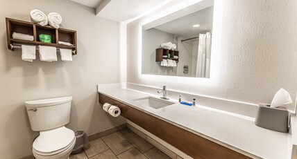 Holiday Inn Express INDIANAPOLIS SOUTH  Room Type - 1 King Bed Standard Comm Access Tub