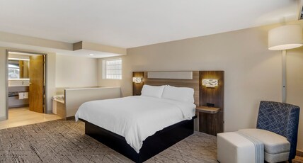 Holiday Inn Express Fallon, an IHG Hotel Room Type - 1 King Bed Suite Sofa Bed