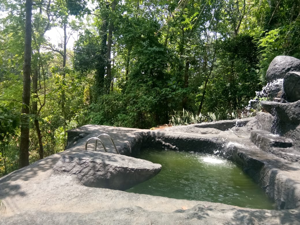 Jungle Retreat Wayanad - Tap to explore photos