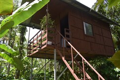 Lo Adoro Tree Hut Tourist Homestays