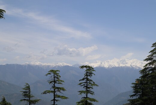 Sunrise Homestay Khajjiar Dalhousie