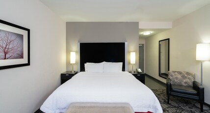 Hampton Inn & Suites by Hilton Roanoke Airport Room Type - 1 KING BED NON SMOKING