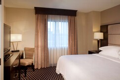 Embassy Suites Houston-Near The Galleria