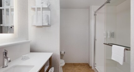 Hampton Inn & Suites Dallas-Arlington North-Entertainment District Room Type - 1 KING BED NONSMOKING
