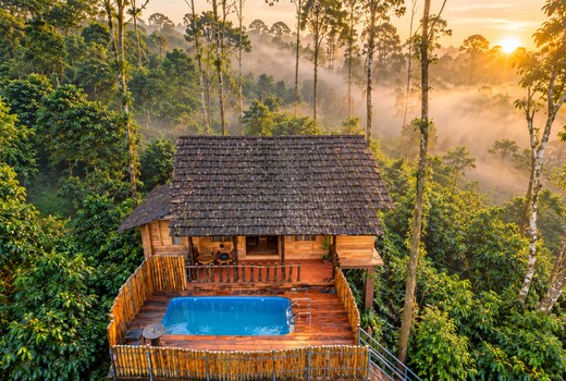 The Coffee County Resorts