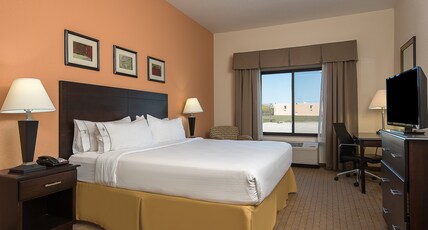 Holiday Inn Express & Suites LAFAYETTE EAST Room Type - 1 King Bed Standard