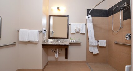 Holiday Inn Express & Suites GLOBE Room Type - 2 Qn Stndrd Comm Mobil Access Roll Shwr