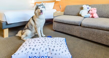 Novotel Torino Corso Giulio Cesare Room Type - Standard room with 1 Queen size bed and French sofa