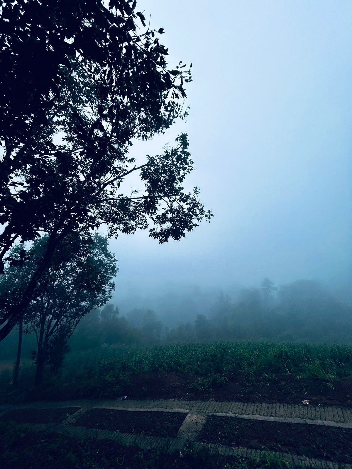 Haze wind vagamon - Tap to explore photos