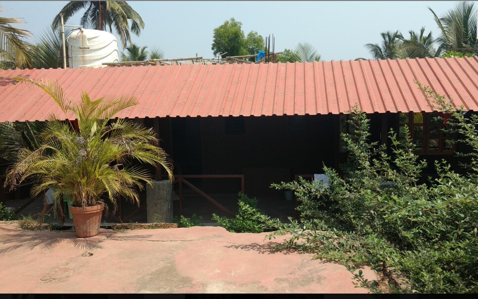 Dolphin Beach Rooms - Tap to explore photos