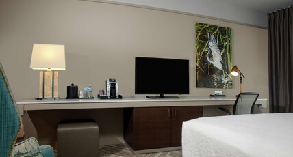 Hilton Garden Inn Mobile Downtown Room Type - 1 KING BED