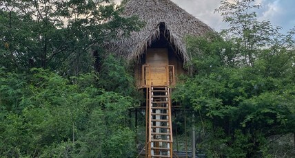 The Wilderness Retreat | Cottage & Restaurant Room Type - Pench Cabin The Wilderness Retreat | Cottage & Restaurant Room Type - Pench Cabin