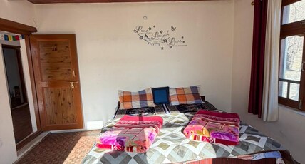 Paldan Homestay Room Type - Room with mountain room2