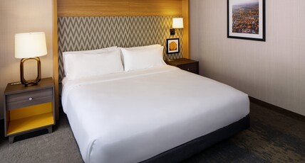Holiday Inn Charlottesville-Monticello Room Type - 1 King Standard Mobil Access Roll Shwr