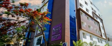 Zip By Spree Hotels Purple Orchid Whitefield