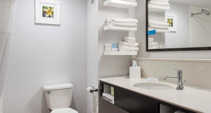 HAMPTON INN DOUGLAS GA Room Type - 1 KNG ACC ROLLIN SHWR NS