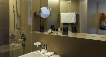 Pullman Basel Europe Room Type - Superior Double Room with twin beds or one king bed