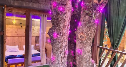 Vintage Mud Woods Room Type - Treehouse
