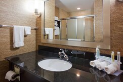 Holiday Inn Express & Suites Rochester 