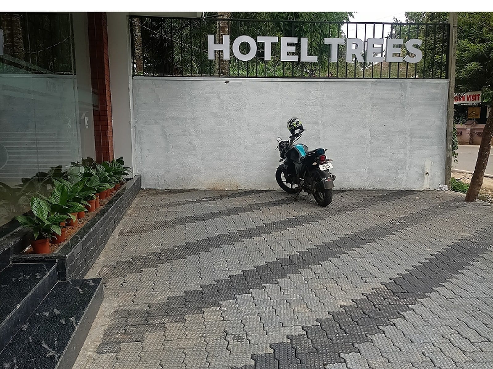 Hotel Trees - Tap to explore photos