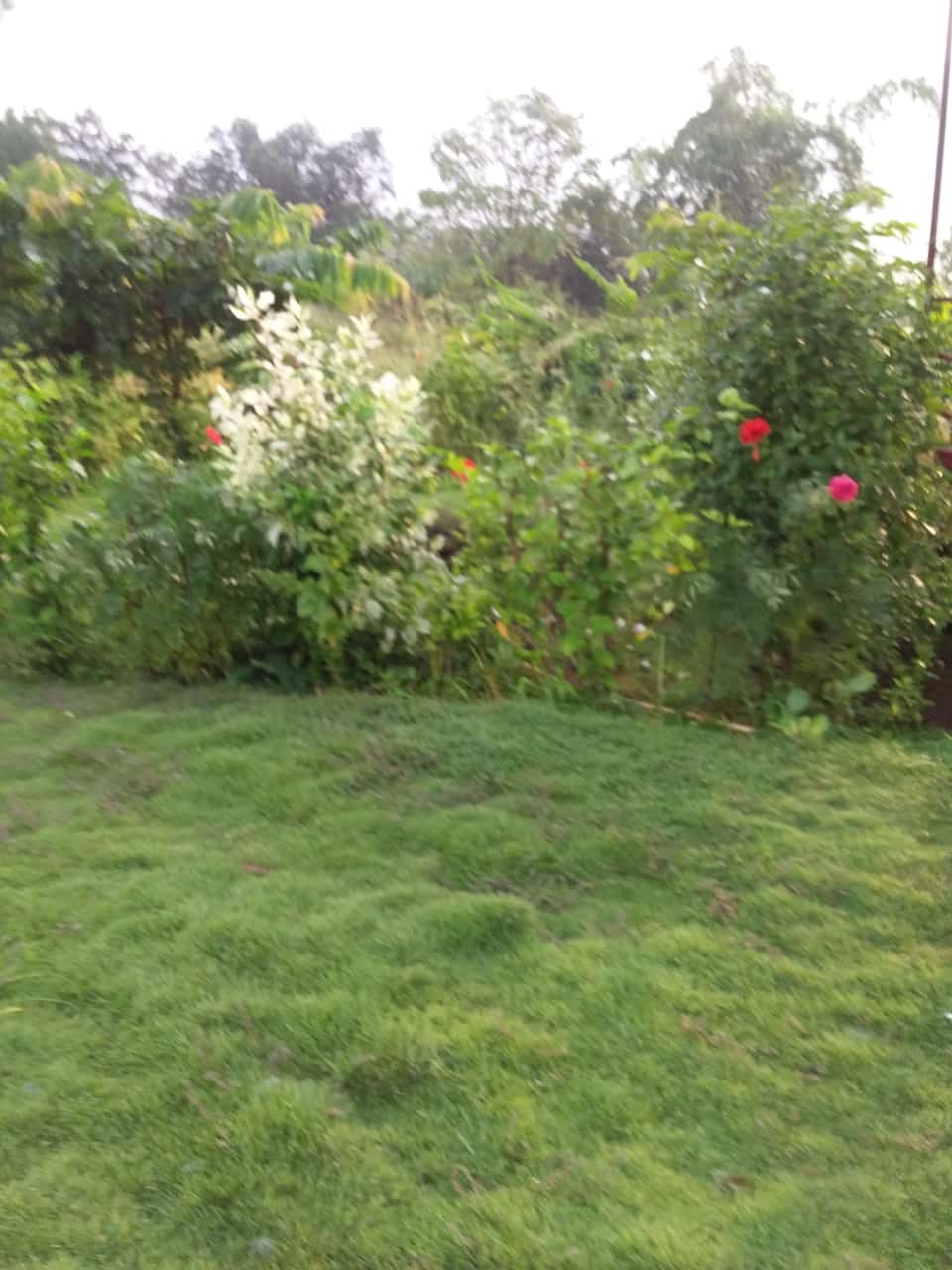 Raje Bhosale Farm House - Tap to explore photos