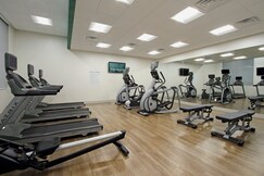 Holiday Inn Express & Suites Dallas-Frisco NW Toyota Stdm