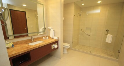 Holiday Inn Leon Plaza Mayor, an IHG Hotel Room Type - 1 King Standard Accessible