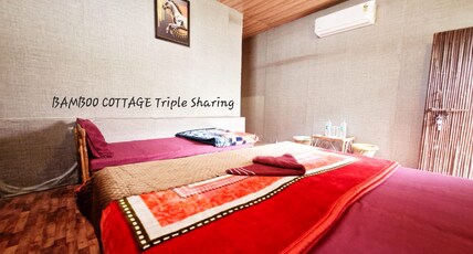 Jungle Lore Camp | Resort & Retreat Room Type - Bamboo Hut