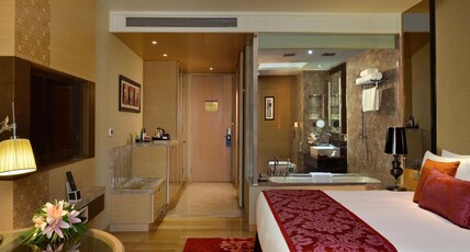 Radisson Blu Hotel Jaipur Room Type - Business Class Non Smoking with Bathtub