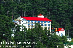 Hotel Trinetar Resort