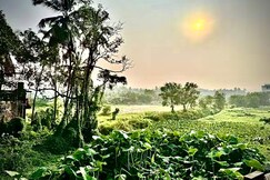 2BHK Farm view Common Pool 10mins to Baga Anjuna