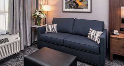 Doubletree by Hilton Lafayette East Room Type - 1 KING BED SOFA